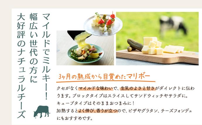 北海道中標津町のふるさと納税 【セゾン限定】竹下牧場まるごとチーズセット【24033】