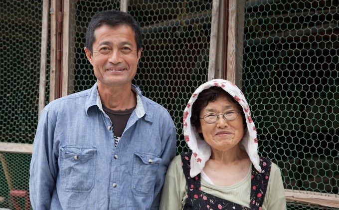 福岡県朝倉市のふるさと納税 はかた地どりプレミアム水炊きセット 鍋セット水炊き 鶏肉水炊き