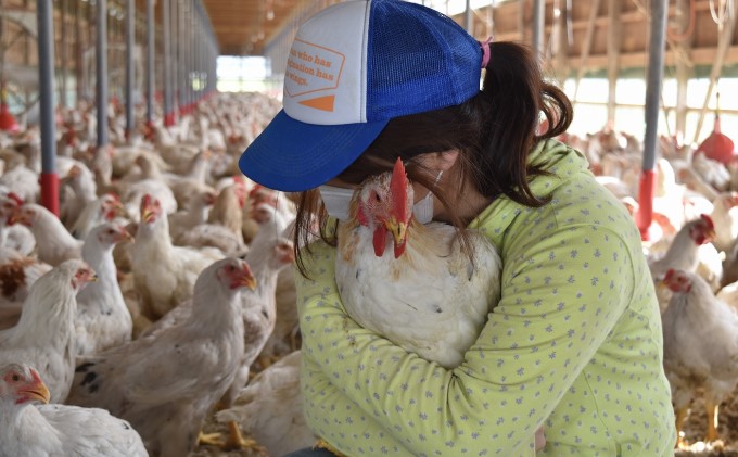 福岡県朝倉市のふるさと納税 はかた地どり炭火焼セット お肉 鶏肉 加工品 惣菜 冷凍