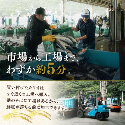 愛媛県鬼北町のふるさと納税 【訳あり】鰹のたたき 2.5kg │カツオのたたき かつお たたき 海鮮 魚 刺身 魚介類 katsuo katuo 鮮魚 有限会社 ハマスイ 愛南町 鬼北町