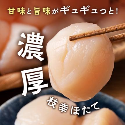 北海道枝幸町のふるさと納税 数量限定 正規品【枝幸ほたて】たっぷり41～60粒！ 冷凍ほたて貝柱 1kg［プロも認めるオホーツクブランド］枝幸漁協【 刺身 帆立 ほたて ホタテ 超目玉 魚貝 魚貝 貝 北海道 オホーツク 枝幸 】