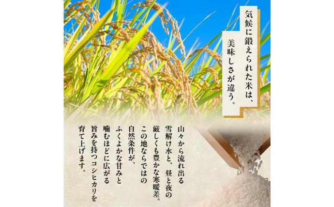 新潟県魚沼市のふるさと納税 魚沼産 コシヒカリ （精米） 3kg 6回 定期便