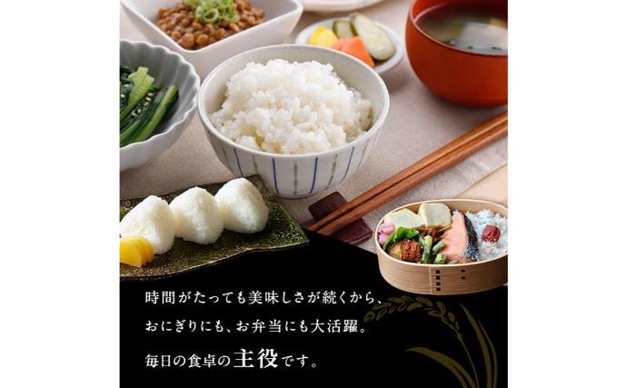 新潟県魚沼市のふるさと納税 魚沼産 コシヒカリ （精米） 3kg 6回 定期便