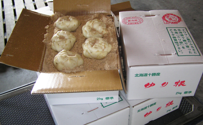 十勝幕別 忠類ゆり根 1kg［M～2L］7～12玉【2025年10月出荷先行予約