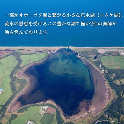 北海道紋別市のふるさと納税 20-323 生 うに 紋別コムケ湖産 ミョウバン不使用 100g（100g×1個）