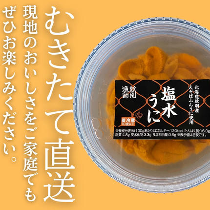 北海道紋別市のふるさと納税 20-323 生 うに 紋別コムケ湖産 ミョウバン不使用 100g（100g×1個）