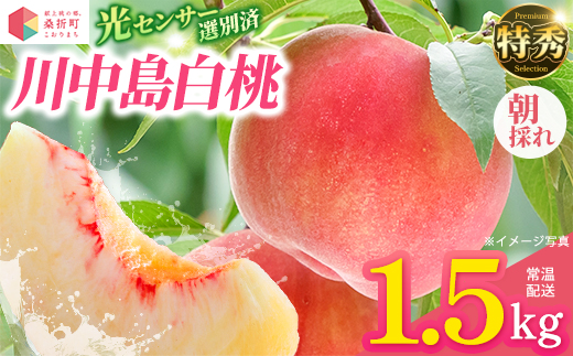 もも【川中島白桃・2026年産】特秀1.5