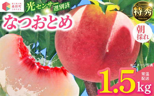 もも【なつおとめ・2026年産】特秀1.5