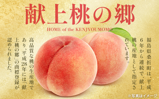 もも【なつおとめ・2027年産先行予約】特秀1.5kg 桑折町産 JAふくしま