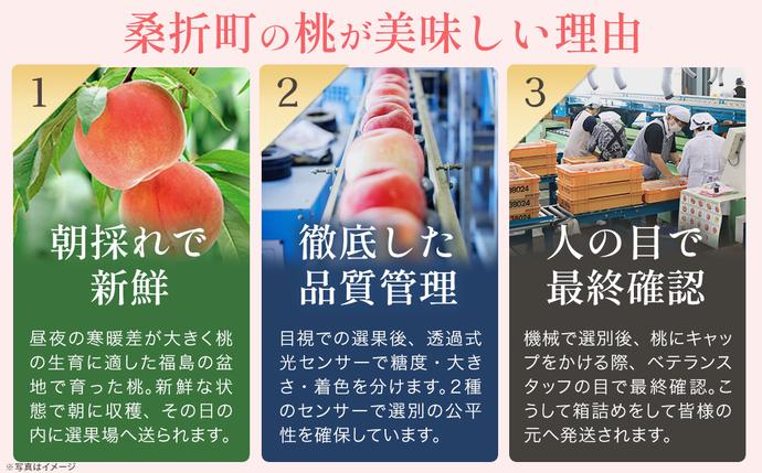 もも【なつおとめ・2027年産先行予約】特秀1.5kg 桑折町産 JAふくしま
