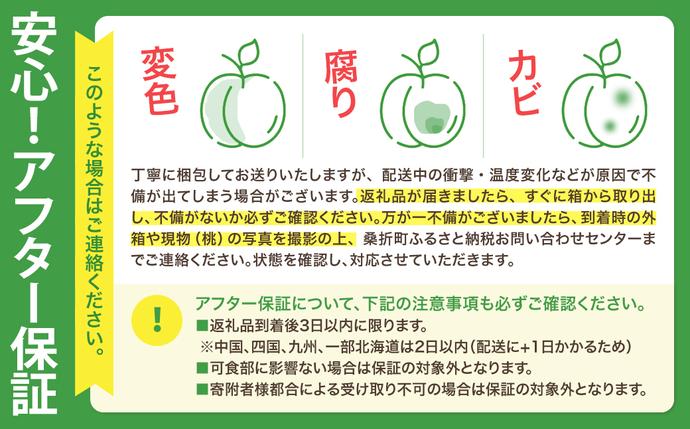 もも【なつおとめ・2027年産先行予約】特秀1.5kg 桑折町産 JAふくしま
