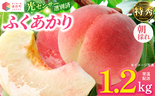 もも【ふくあかり・2027年産先行予約】特