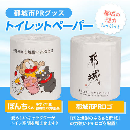 トイレットペーパー（ソフトダブル）100ロール×1箱≪みやこんじょ快速