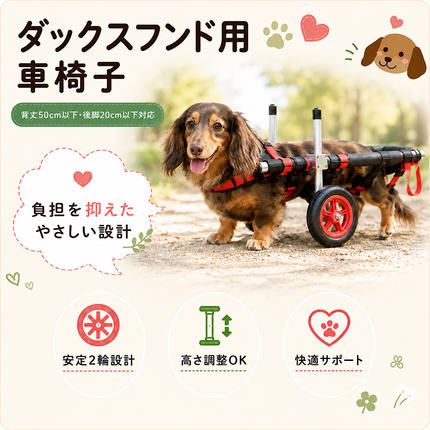 ダックスフンド用二輪車椅子（体重15キロ以下） 【!寄附前に事業者へ