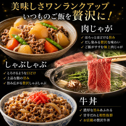 岐阜県池田町のふるさと納税 飛騨牛 牛肉 すき焼き しゃぶしゃぶ ロース スライス 500g×2 計1kg A5 和牛 すきやき すき焼き肉 すき焼き用肉 シャブシャブ お肉 霜降り ブランド和牛