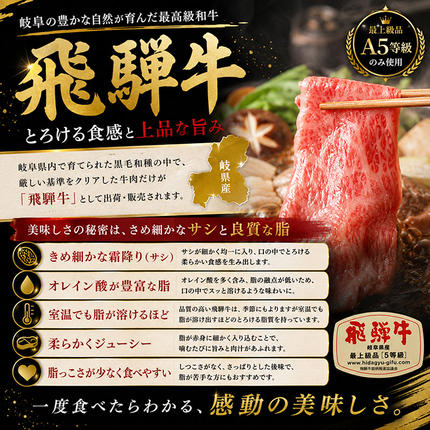 岐阜県池田町のふるさと納税 飛騨牛 牛肉 切り落とし 500g×4 計2kg A5 和牛 焼肉 もも肉 モモ バラ カルビ お肉 ブランド和牛