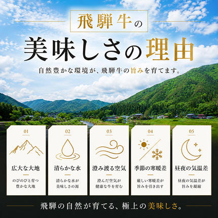 岐阜県池田町のふるさと納税 飛騨牛 牛肉 切り落とし 500g×4 計2kg A5 和牛 焼肉 もも肉 モモ バラ カルビ お肉 ブランド和牛