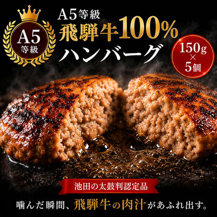 ふるさと納税　飛騨牛 ハンバーグ ロースバ