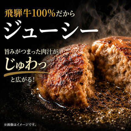 岐阜県池田町のふるさと納税 ふるさと納税　飛騨牛 ハンバーグ ロースバーグ 150g×5枚 計750g  和牛