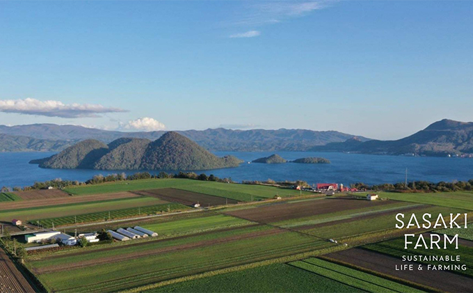 北海道洞爺湖町のふるさと納税 【セゾン限定】旬の野菜詰め合わせ ～ありがとうBOX2026・小～ 12月1日～1月31日頃お届け 先行予約 北海道 野菜 やさい 詰め合わせ セット 北海道産 常備菜 加工品 自然栽培 佐々木ファーム 産地直送 洞爺湖町