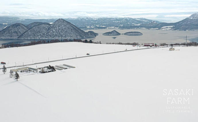 北海道洞爺湖町のふるさと納税 【セゾン限定】旬の野菜詰め合わせ ～ありがとうBOX2026・小～ 12月1日～1月31日頃お届け 先行予約 北海道 野菜 やさい 詰め合わせ セット 北海道産 常備菜 加工品 自然栽培 佐々木ファーム 産地直送 洞爺湖町