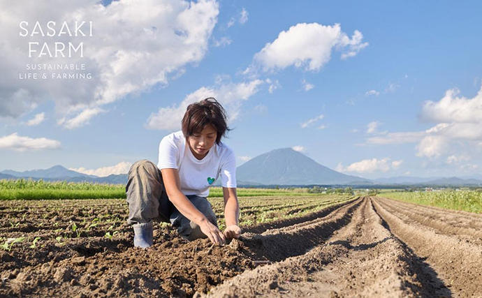 北海道洞爺湖町のふるさと納税 【セゾン限定】旬の野菜詰め合わせ ～ありがとうBOX2026・小～ 12月1日～1月31日頃お届け 先行予約 北海道 野菜 やさい 詰め合わせ セット 北海道産 常備菜 加工品 自然栽培 佐々木ファーム 産地直送 洞爺湖町
