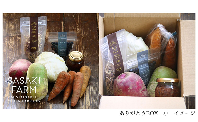 北海道洞爺湖町のふるさと納税 【セゾン限定】旬の野菜詰め合わせ ～ありがとうBOX2026・小～ 12月1日～1月31日頃お届け 先行予約 北海道 野菜 やさい 詰め合わせ セット 北海道産 常備菜 加工品 自然栽培 佐々木ファーム 産地直送 洞爺湖町