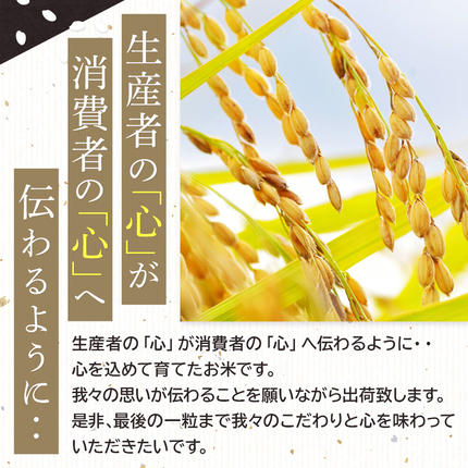 宮城県名取市のふるさと納税 米 【2026年10月以降順次発送 先行受付】 令和8年産 《定期便6ヶ月》 こだわりのお米 つや姫 5kg×1袋 【白米】 [ラ・ファータ つや姫 ブランド米 お米 白米 精米 米どころ 宮城 名取市]