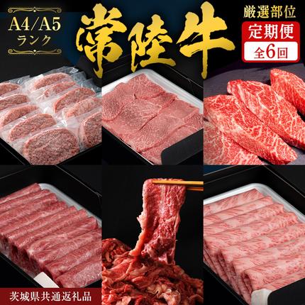 [ 7月発送開始 ] 定期便 全6回 常陸牛 厳選部位 食べ比べ ( 霜降りスライス 800g / 切り落とし 1kg / 赤身スライス 900g / ハンバーグ/ 赤身焼肉用 500g / イチボ 500g ) お届け 黒毛和牛 牛肉 肉 お肉 焼き肉 すき焼き しゃぶしゃぶ 切り落とし ハンバーグ ステーキ藤井商店 茨城県共通返礼品 [CD141sa]