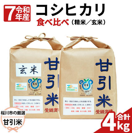 令和7年産 桜川市の 厳選 甘引米 コシヒカリ 食べ比べセット（玄米