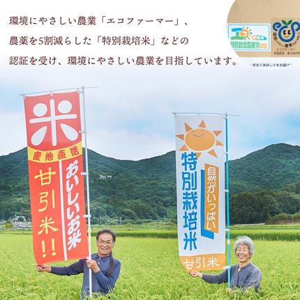 令和7年産 桜川市の 厳選 甘引米 コシヒカリ 食べ比べセット（玄米