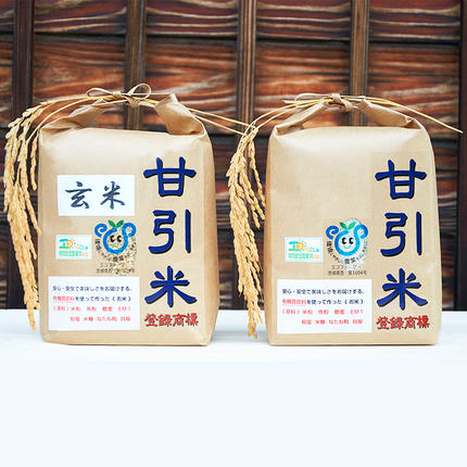令和7年産 桜川市の 厳選 甘引米 コシヒカリ 食べ比べセット（玄米