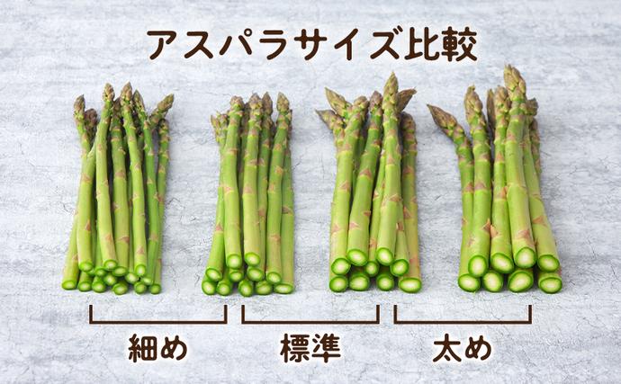 2027年春発送】富良野産 アスパラ 約1kg 標準 (M～Lサイズ混合)中山