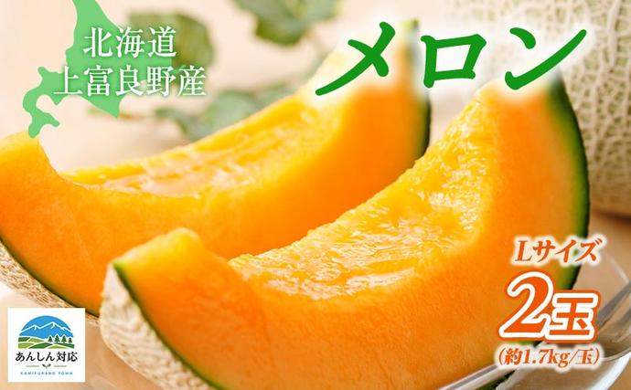 令和8年産】 【糖度限界突破】ふらの 赤肉メロン Lサイズ（約1.7kg/玉