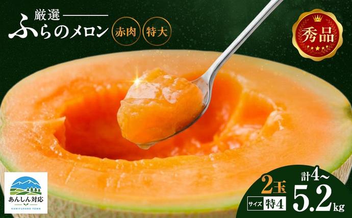 赤肉メロン 2玉 厳選 秀品 特4サイズ 
