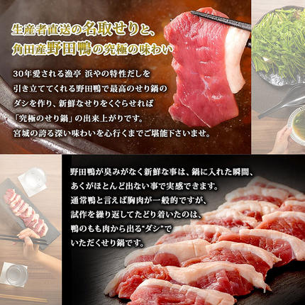宮城県名取市のふるさと納税 鍋【期間限定】【お届け日時指定必須（12月15日以降お届け）】 仙台せり鍋セット 野田鴨（2～3人前） 漁亭 浜や 宮城ブランド 野田鴨で食す