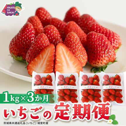 【定期便】いちご3ヶ月連続お届け便 （25