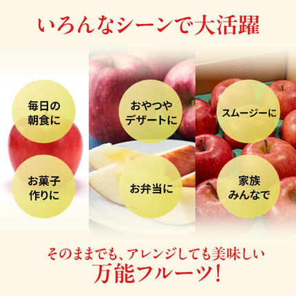 宮城県大河原町のふるさと納税 りんご 訳あり 3kg 果物 フルーツ わけあり 不揃い 規格外 ご家庭用 宮城県 大河原町 産地直送 林檎 リンゴ くだもの 先行予約 送料無料