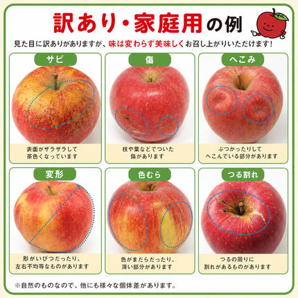 宮城県大河原町のふるさと納税 りんご 訳あり 3kg 果物 フルーツ わけあり 不揃い 規格外 ご家庭用 宮城県 大河原町 産地直送 林檎 リンゴ くだもの 先行予約 送料無料