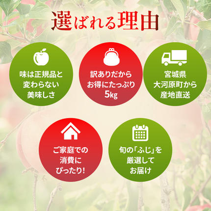 宮城県大河原町のふるさと納税 りんご 訳あり 3kg 果物 フルーツ わけあり 不揃い 規格外 ご家庭用 宮城県 大河原町 産地直送 林檎 リンゴ くだもの 先行予約 送料無料