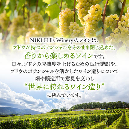 北海道仁木町のふるさと納税 NIKI Hills Winery 白ワイン 【 HATSUYUKI 】 750ml ワイン 洋酒 お酒 アルコール ブドウ ぶどう ドライ [株式会社NIKI Hillsヴィレッジ]