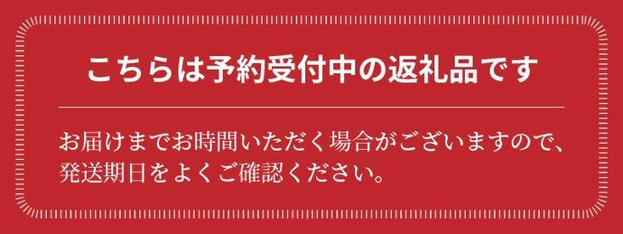 愛知県碧南市のふるさと納税 【お試し】 たった3ヶ月しか食べられない 幻 フルーツ トマト ファーストトマト 容量 約700g 特に美味しい 3月 ～ 5月 限定発送 長田農園 完全木熟栽培 果皮 薄い もっちり食感 甘い リコピン 野菜 碧南市 送料無料 H004-182