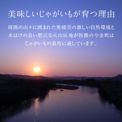 北海道今金町のふるさと納税 TVで紹介！【先行予約】今金男しゃく（LMサイズ）約10kg【GI認証取得】 じゃがいも 男爵 男しゃく いも だんしゃく 野菜 幻 北海道 今金町 GI認証 LMサイズ 10kg 青空レストラン F21X-286