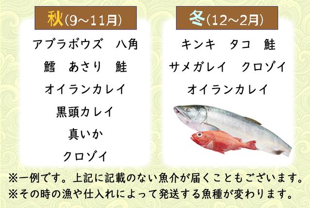 北海道新ひだか町のふるさと納税 ＜定期便6回＞北海道産 旬の魚介4～5種 お楽しみ定期便