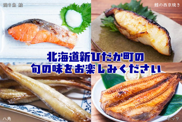 北海道新ひだか町のふるさと納税 ＜定期便6回＞北海道産 旬の魚介4～5種 お楽しみ定期便