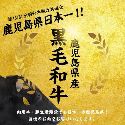 鹿児島県志布志市のふるさと納税 【数量限定】鹿児島県産黒毛和牛サーロインステーキ 200g×4枚 黒毛和牛 和牛 牛肉 A4等級 サーロインステーキ サーロイン ステーキ 霜降り 数量限定 九州産 国産 b7-011
