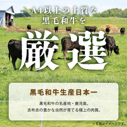 鹿児島県志布志市のふるさと納税 【数量限定】鹿児島県産黒毛和牛サーロインステーキ 200g×4枚 黒毛和牛 和牛 牛肉 A4等級 サーロインステーキ サーロイン ステーキ 霜降り 数量限定 九州産 国産 b7-011