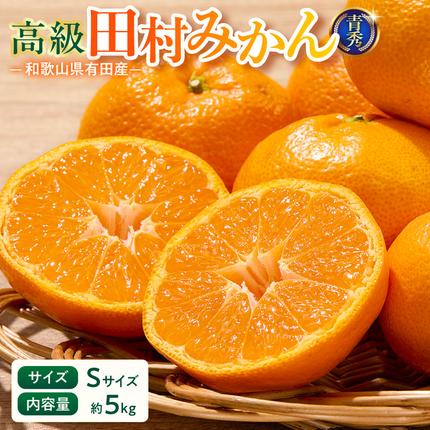 【2026年先行予約】「高級 田村みかん」