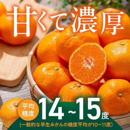 和歌山県湯浅町のふるさと納税 【2026年先行予約】「高級 田村みかん」 青秀 約5kg Sサイズ 和歌山県有田産 有田みかん_U6241n