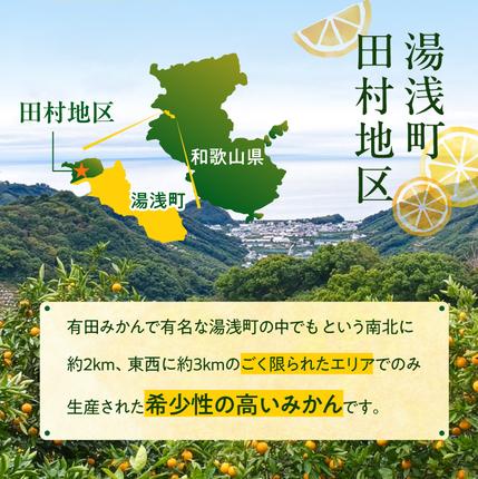 和歌山県湯浅町のふるさと納税 【2026年先行予約】「高級 田村みかん」 青秀 約5kg Sサイズ 和歌山県有田産 有田みかん_U6241n